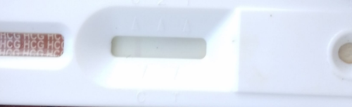 temp.png