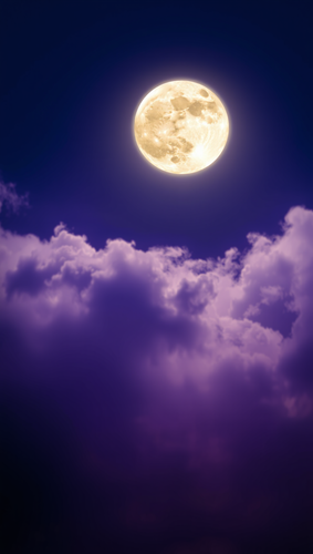 0516a44198f8.png