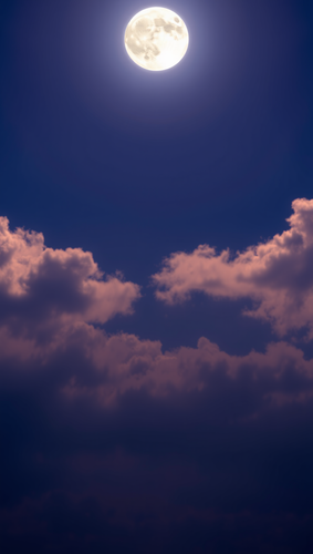 a3daac569f31.png