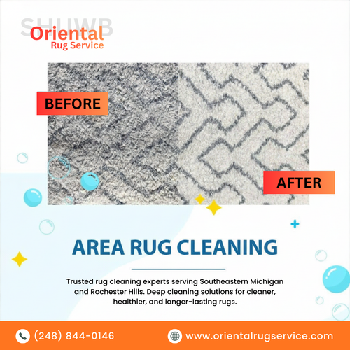 Rug cleaning in Southeastern Michigan and Rochester Hills.png