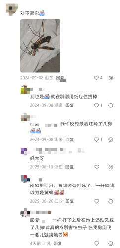 1000031494.jpg
