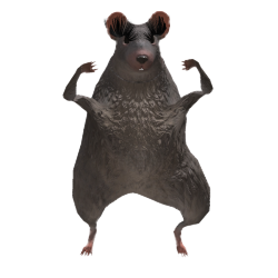 bf7433b33c9a.png