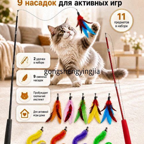 1780548235643.jpg