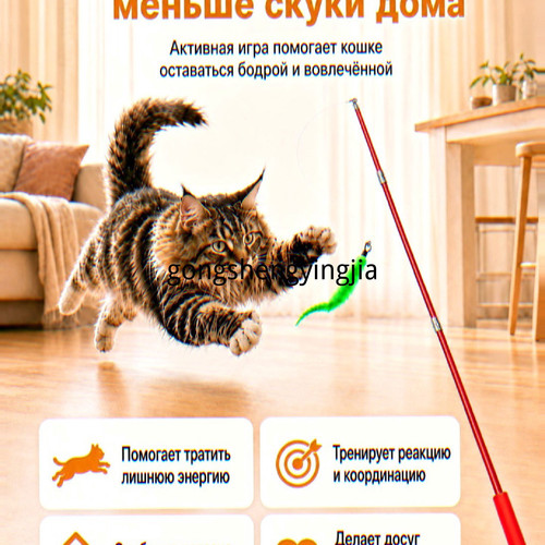 1780548235646.jpg