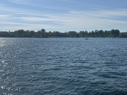 IMG 4240.jpg