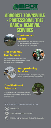 Arborist Townsville Professional Tree Care & Removal Services.jpg