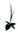 LOGO PLANT 32x32.png