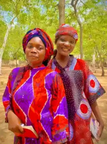 temp.png