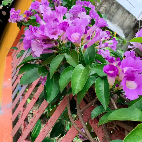 Untitled design 9.webp