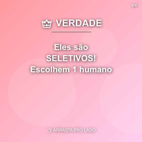 carousel 1780502416639 slide2.png