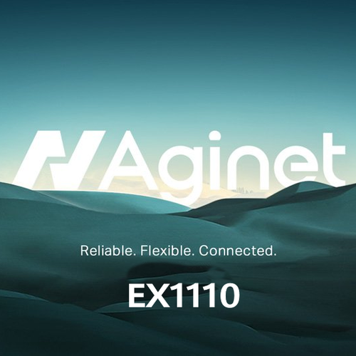 tp link Aginet(EX1110).png