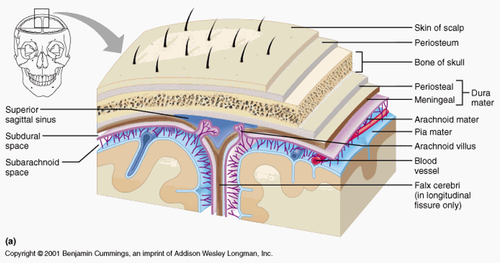 8b563a1a1c22.png