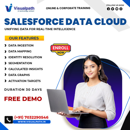 Best Salesforce Data Cloud Training | Corporate Training.jpg