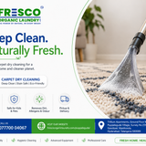 Refresh your home with expert carpet dry cleaning.