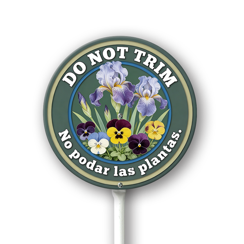 TT13.png