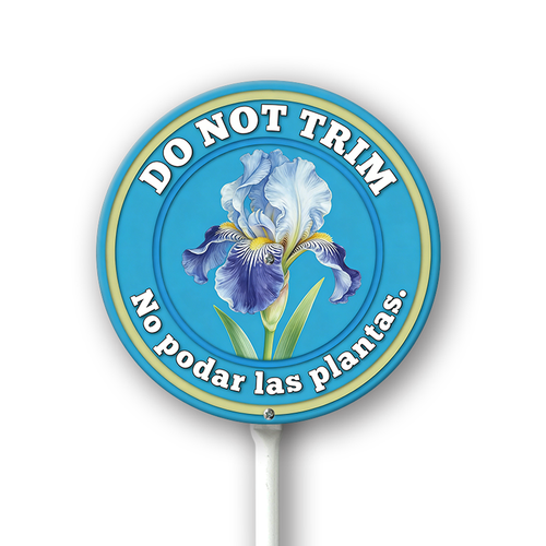 TT3.png