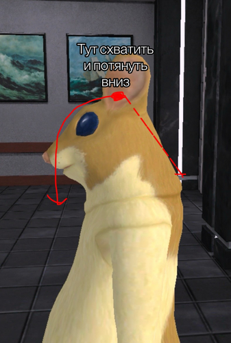 photo output.png