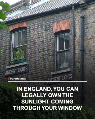 img facts (1).jpg