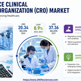 httpswww.24lifesciences.com 2026 06 03T132101.025