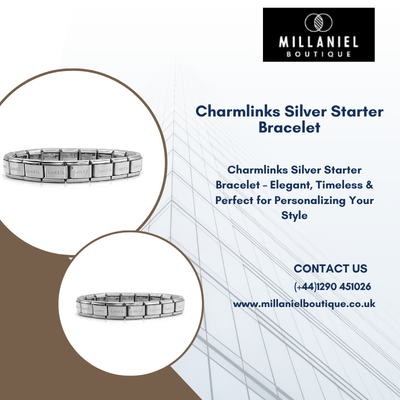 Charmlinks Silver Starter Bracelet Elegant Charm Collection.png