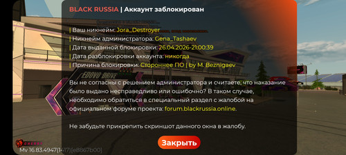 1000824481.jpg