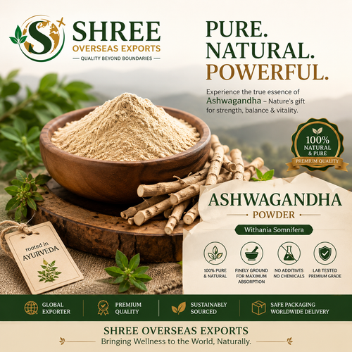 Ashwagandha Root Powder Wholesale Supplier A Complete Guide for Global Buyers.png