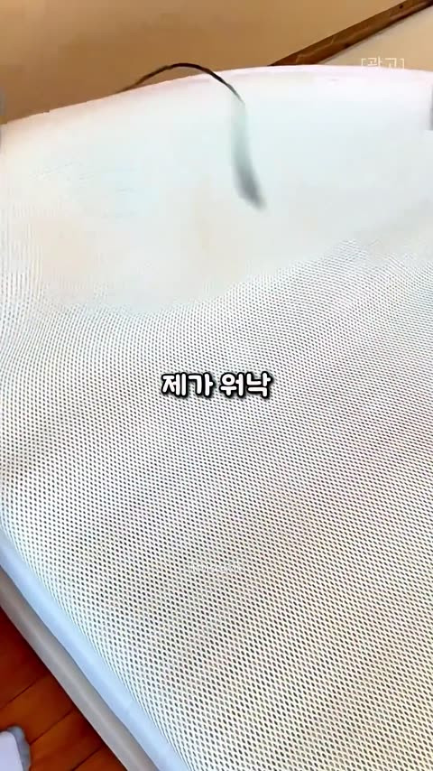 frame 0.jpg