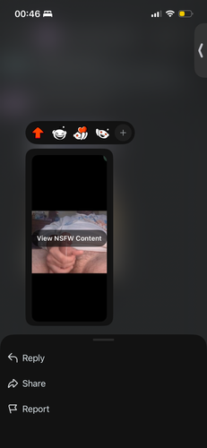 IMG 0289.png