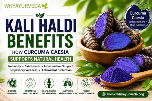 Kali haldi benefits for natural health.png