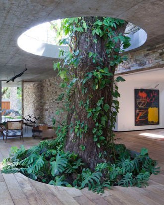 architecture around the trees 4 880.jpg