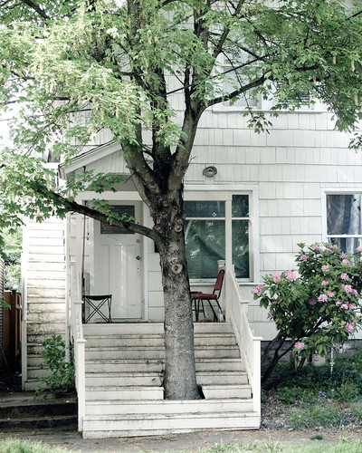 architecture around the trees 2 880.jpg
