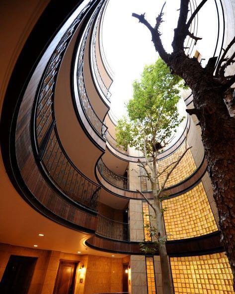 architecture around the trees 10 880.jpg