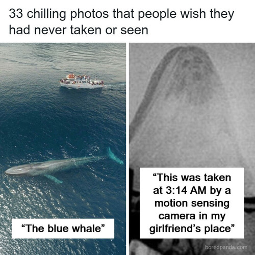 photos taken.jpg
