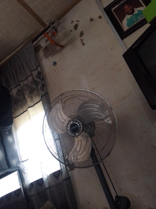 temp.png