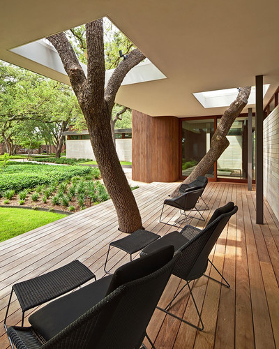 architecture around the trees 9 880.jpg