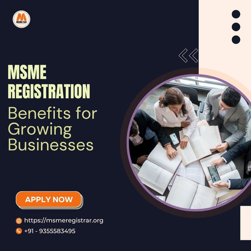 msme image.jpg