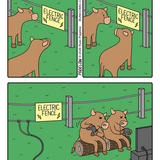 cows.png