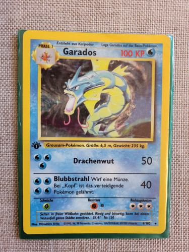 garados1.jpg