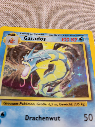 garados4.jpg