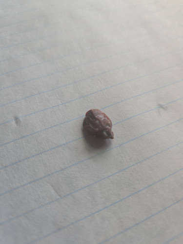 a4c16ef2c1c0.jpg