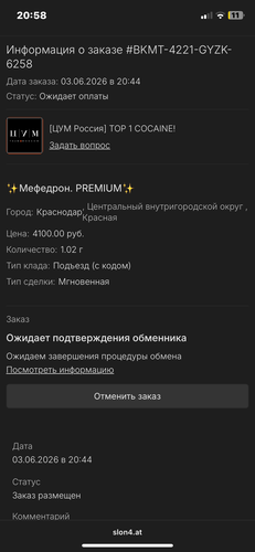IMG 8498.png
