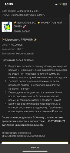 IMG 8497.png