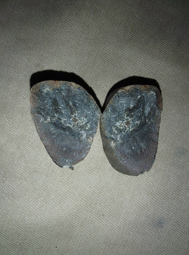 82f45dcaec93.jpg
