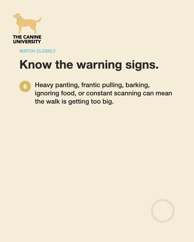 fcc7f5a976d9.png