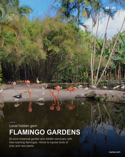 slide 04 flamingo gardens.jpg