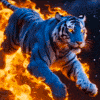 1.gif