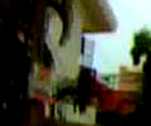crop0.png