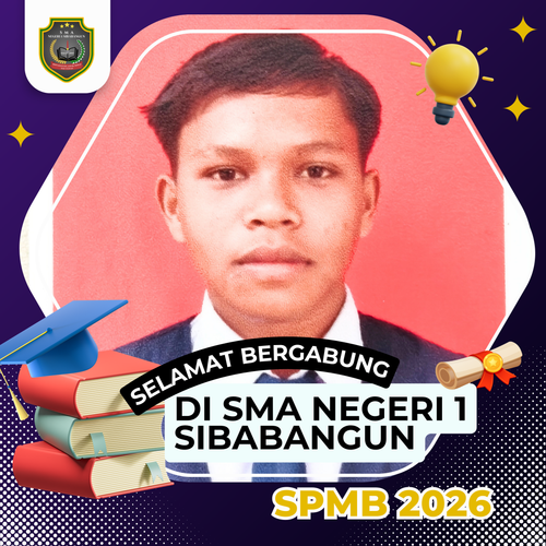 PERDINAN SIHOTANG.png