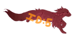 IMG 5359.png