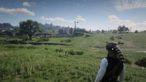 RDR2 b1ks2Oa8UM.jpg